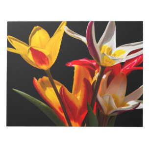 Bloco De Notas Flores de chicote contra fundo preto