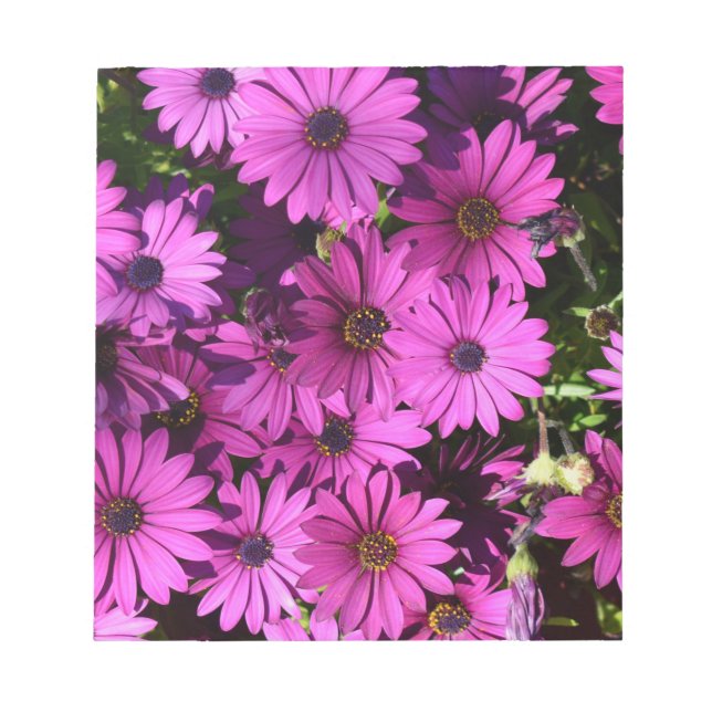 Bloco De Notas Flores De Osteospermum Roxo (Frente)