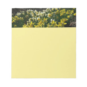 Bloco De Notas Flores de primavera de Daffodils Amarelos e Branco
