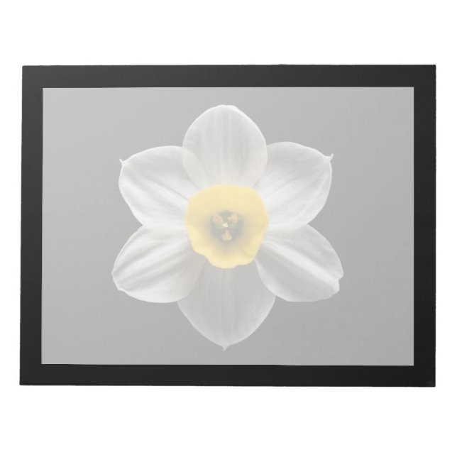 Bloco De Notas Flores | Flor Branca De Daffodilo (Frente)