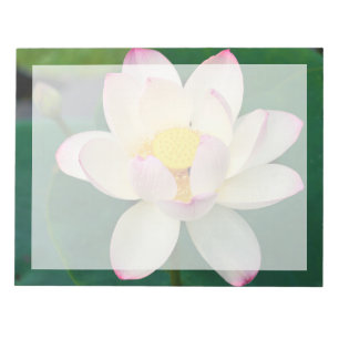 Bloco De Notas Flores Flor de Lótus de Água