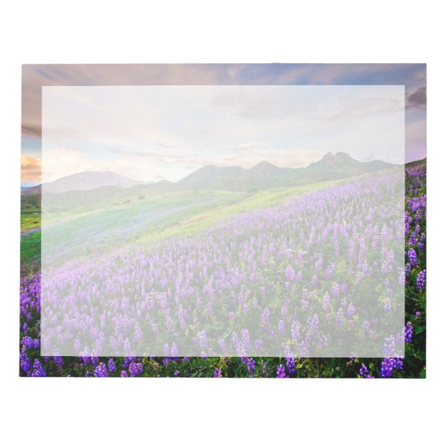 Bloco De Notas Flores | Flores selvagens da Califórnia (Frente)