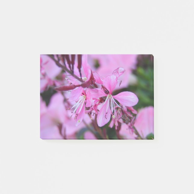 Bloco De Notas Flores Rosa (Frente)