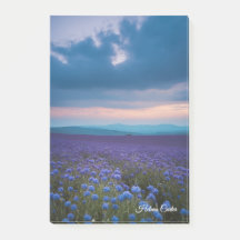 Flores selvagens roxas