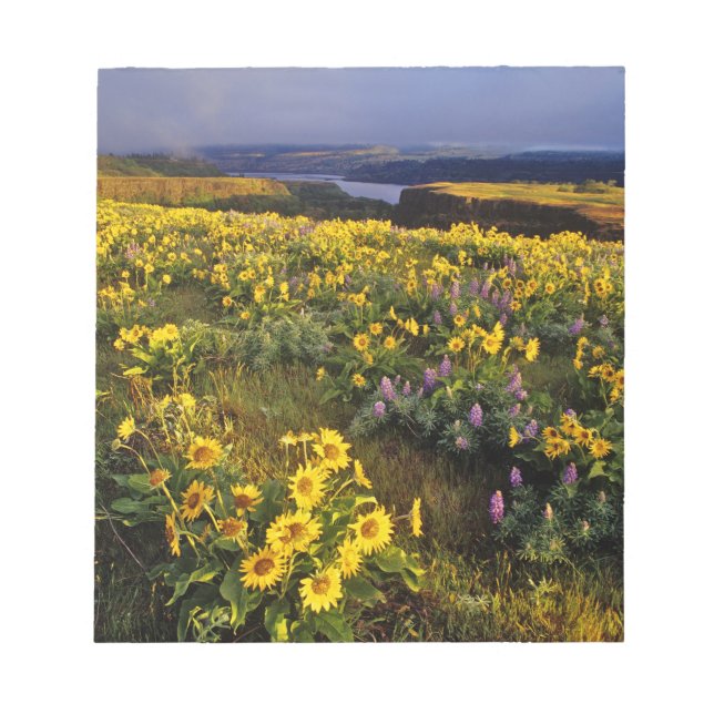 Bloco De Notas Flores silvestres de primavera em abundância no To (Frente)