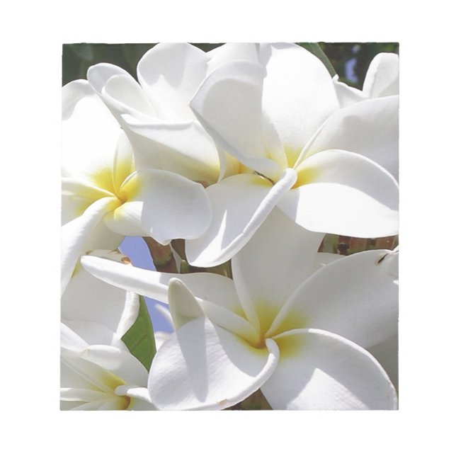 Bloco De Notas Flores Tropicais De Plumeria (Frente)
