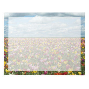 Bloco De Notas Flores Tulipas Willamette Valley Oregon