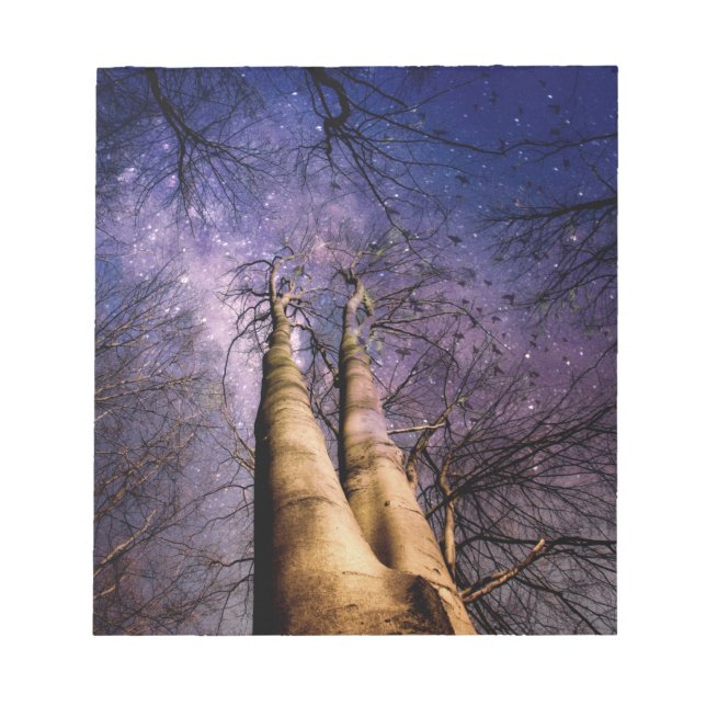 Bloco De Notas Floresta Encantada (Frente)