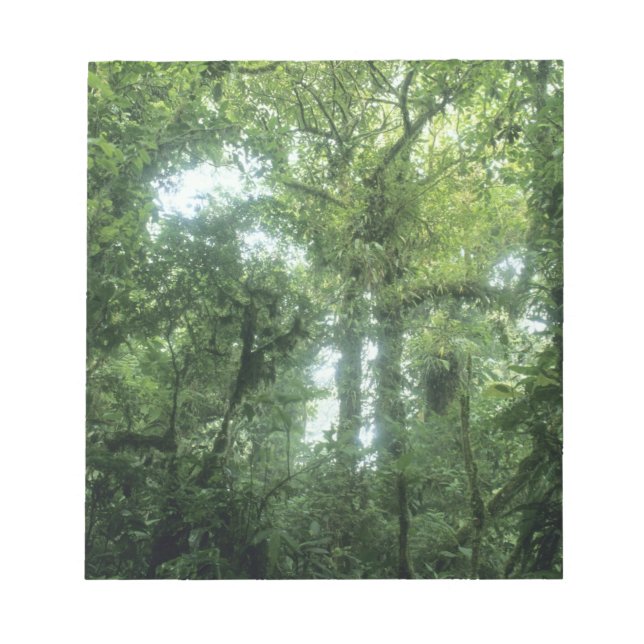 Bloco De Notas Floresta Nuvem Monteverde, Costa Rica. (Frente)