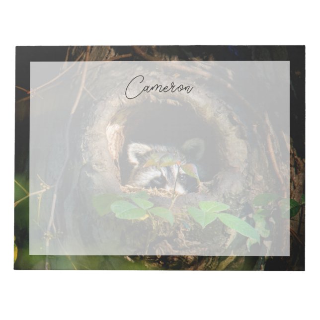 Bloco De Notas Florestas | Raccoon Peeking (Frente)