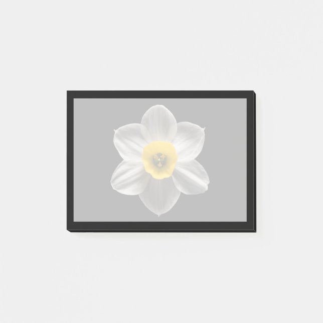 Bloco De Notas Flowers | White Daffodil Flower (Frente)