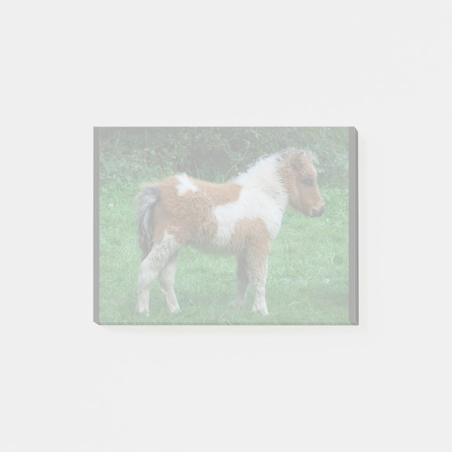 Bloco De Notas Fluffy Adorable Dartmoor Pony (Frente)