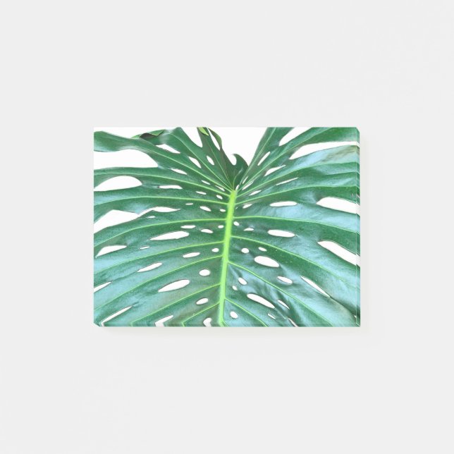 Bloco De Notas Folha da floresta tropical úmida Elegante Palm Fol (Frente)