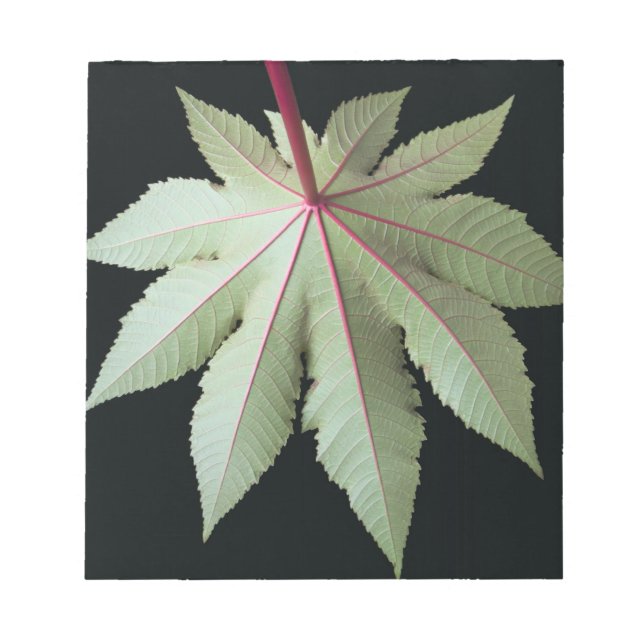 Bloco De Notas Folha e Pedra (Frente)