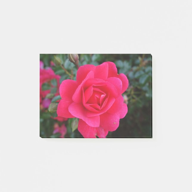 Bloco De Notas Foto bonito de rosa rosa rosa (Frente)