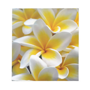 Bloco De Notas Foto da flor do Plumeria do Frangipani