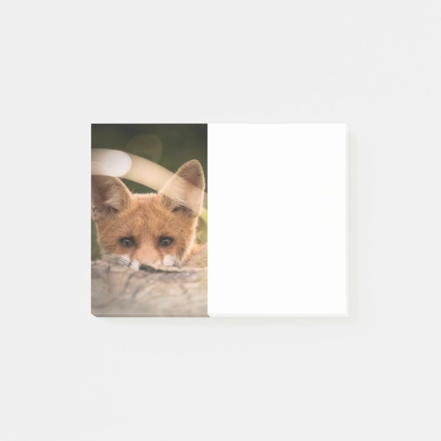 Bloco De Notas Foto de uma pequena raposa laranja fofa (Frente)