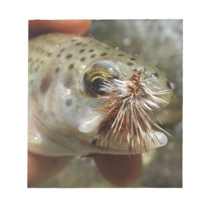 Bloco De Notas Foto do Rainbow Trout