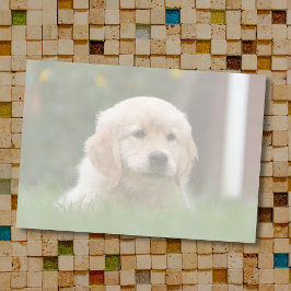 Bloco De Notas Foto personalizada | Converta Automaticamente Seu 