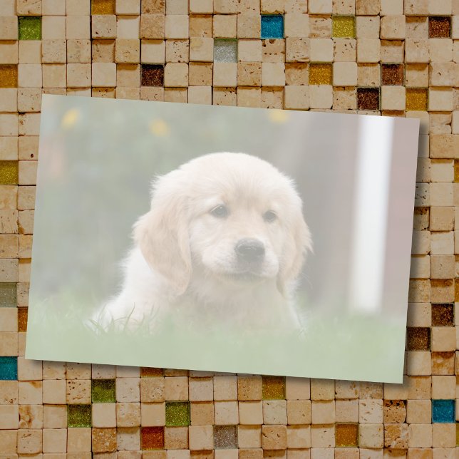 Bloco De Notas Foto personalizada | Converta Automaticamente Seu  (Criador carregado)