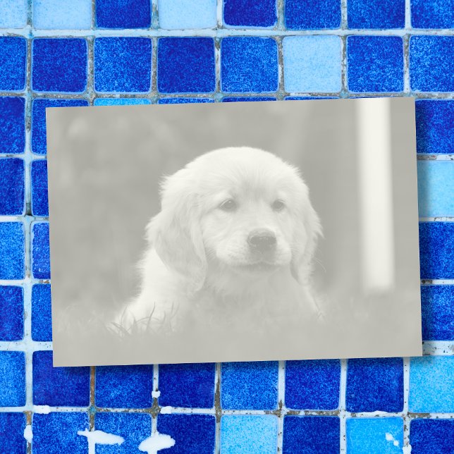 Bloco De Notas Foto personalizada, Pic de conversão automática em (Criador carregado)