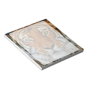 Bloco De Notas Fotografia da cara do tigre