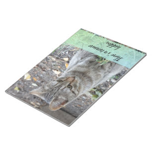 Bloco De Notas Fotografia de Gato Engraçado