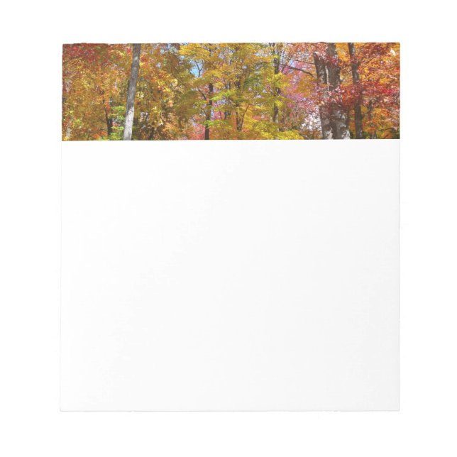 Bloco De Notas Fotografia de Outono de Árvores Laranjas e Amarela (Frente)
