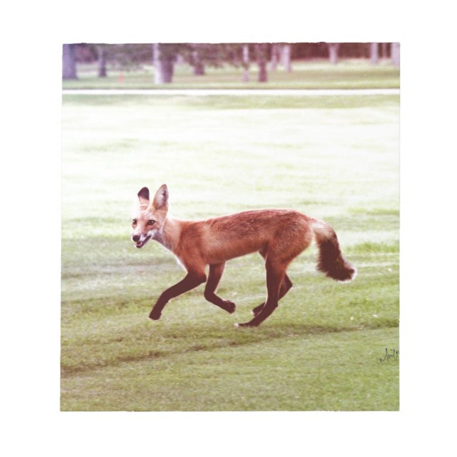Bloco De Notas fotografia de raposa vermelha correndo (Frente)