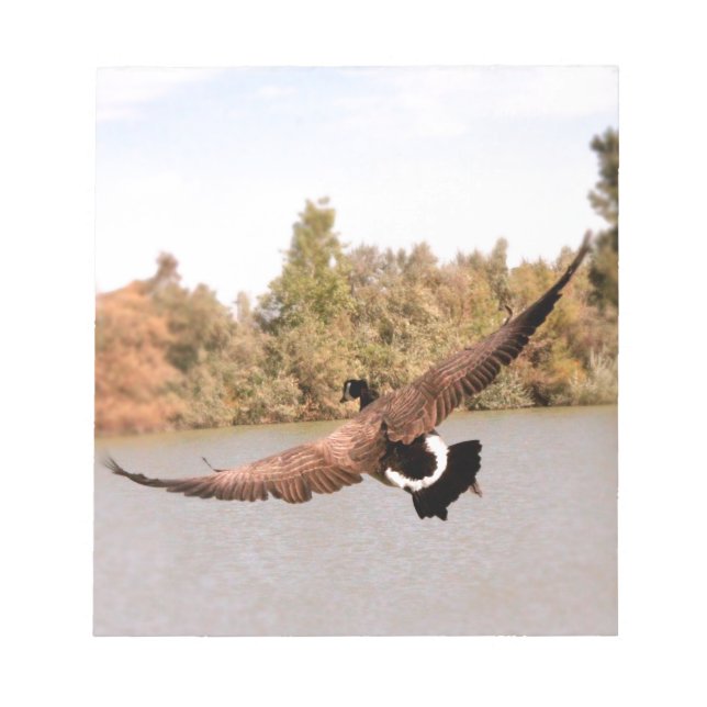Bloco De Notas fotografia do pato voador sobre a água (Frente)