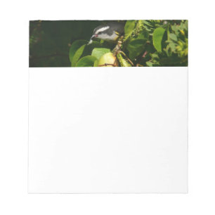 Bloco De Notas Fotografia tropical de alimentação de aves de Ba