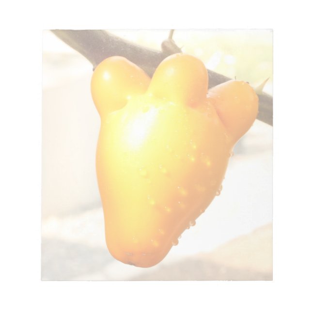 Bloco De Notas Fox Face Fruta (Frente)