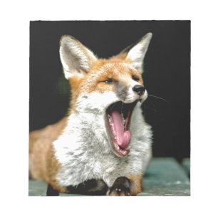 Bloco De Notas Fox - pro foto