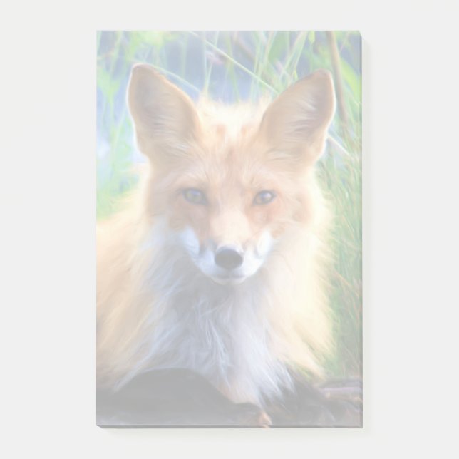 Bloco De Notas Fox Vermelha Lay na Imagem de Grass Wildlife (Frente)