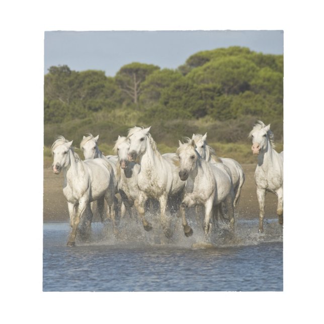 Bloco De Notas França, Camargue. Cavalos atravessam o estuário 3 (Frente)