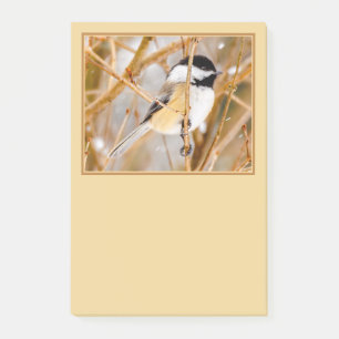 Bloco De Notas Frango de Capa Preta - Fotografia Original