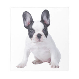 Bloco De Notas Frenchie - cachorrinho francês