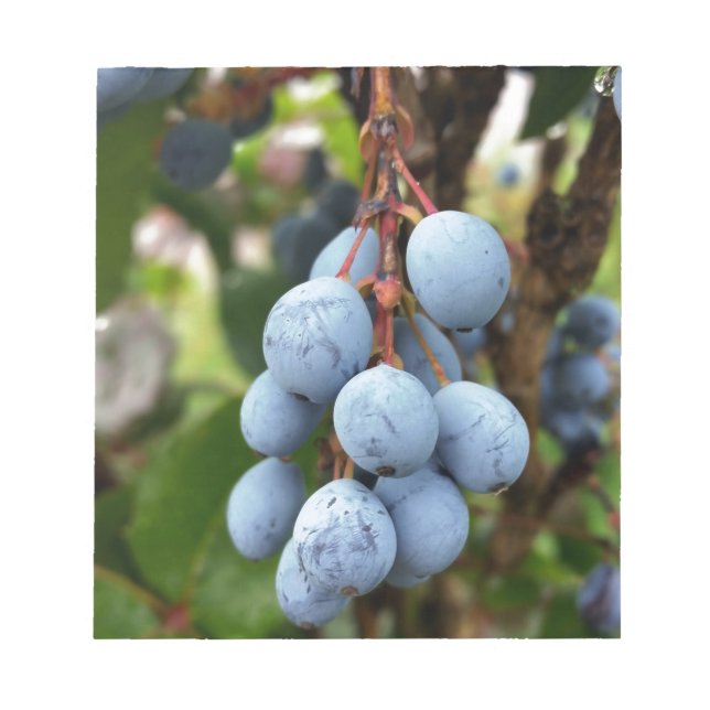 Bloco De Notas Fruta de espinho negro (Frente)
