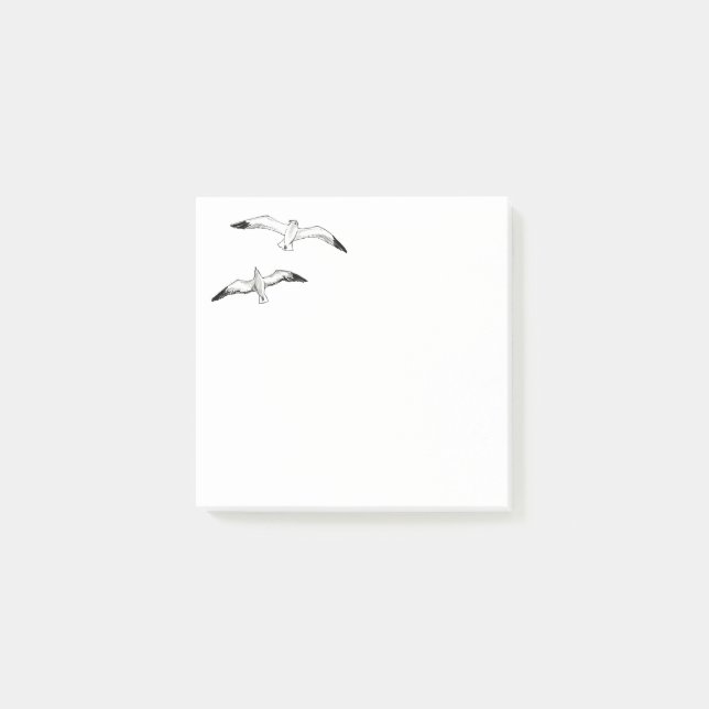 Bloco De Notas Gaivotas (Frente)