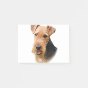 Bloco De Notas Galês Terrier