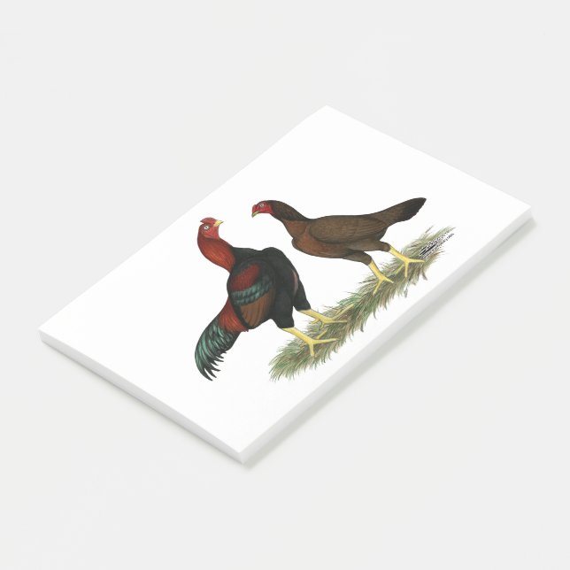 Bloco De Notas Galinha Aseel Black Red (Inclinado)