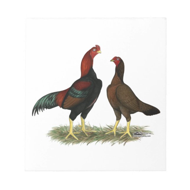 Bloco De Notas Galinha Aseel Black Red (Frente)