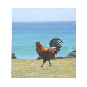 Bloco De Notas Galo Kauai