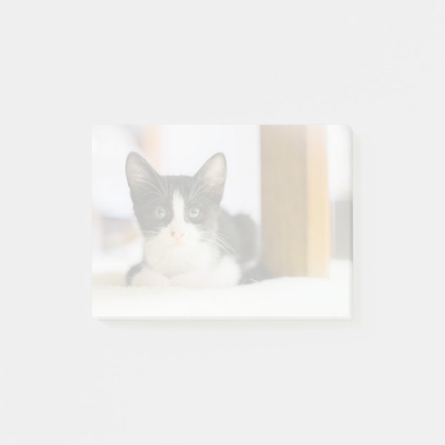 Bloco De Notas Gatinho branco e preto doce (Frente)
