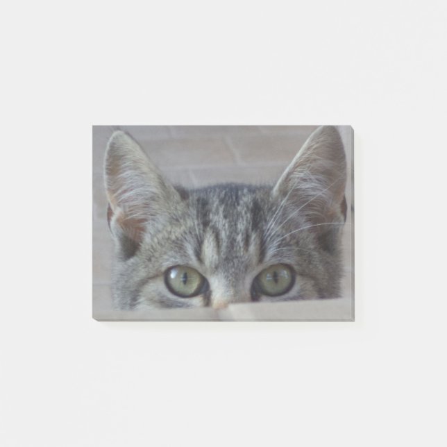 Bloco De Notas Gatinho de esconde-esconde (Frente)