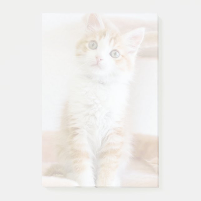 Bloco De Notas Gatinho de Olhos Azuis Doce (Frente)
