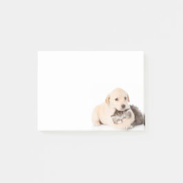 Bloco De Notas gatinho dorme nas mãos do cachorro