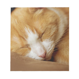 Bloco De Notas Gatinho Dormindo