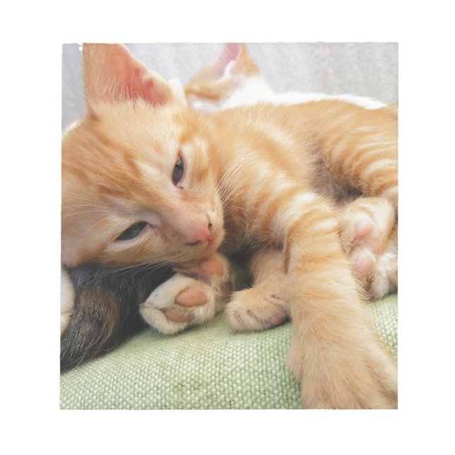 Bloco De Notas Gatinho Listrado de Tigre Fofo (Frente)
