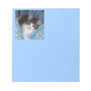 Bloco De Notas Gatinho no azul